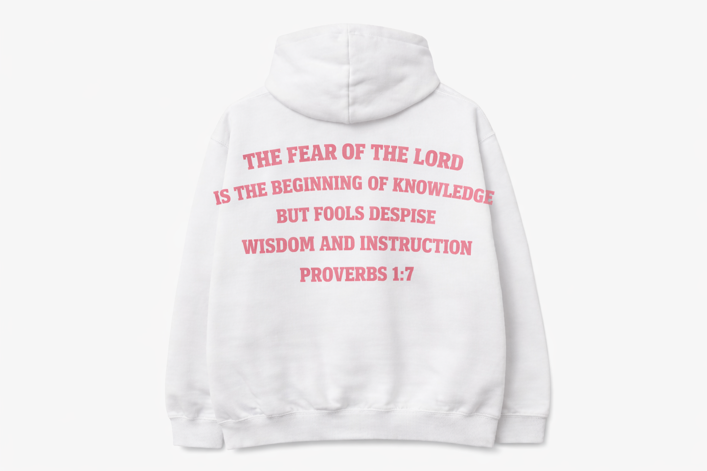 BEGINNING™ Hoodie — Proverbs 1:7 (Without Stars)